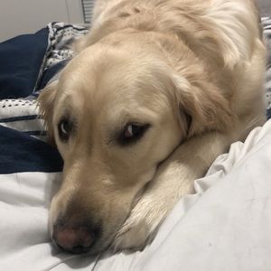 Meet your Posher, Macie